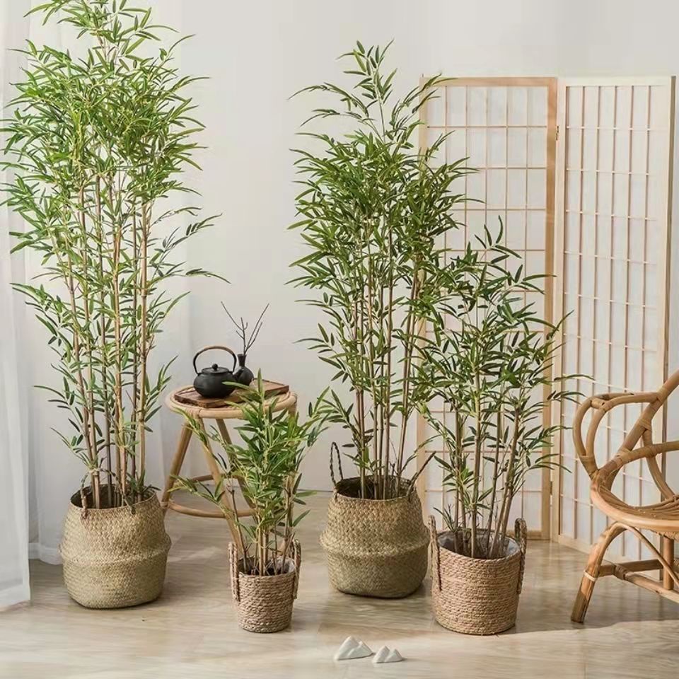 Pohon Bambu Hias Jumbo Artificial Dekorasi Sudut Rumah Hijau dan Aesthetic Bamboo Tree Artifical Import Hiasan Taman Azgalery PBP79