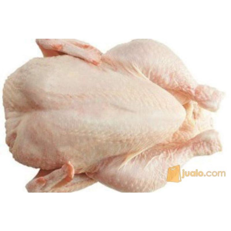 

Ayam Potong Broiler Segar 1 kg SAYUR PRAKTIS ONLINE BANDUNG