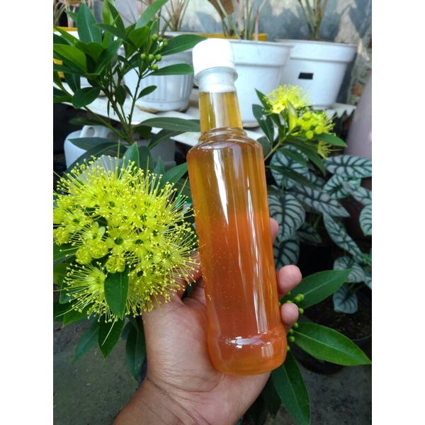 

madu murni