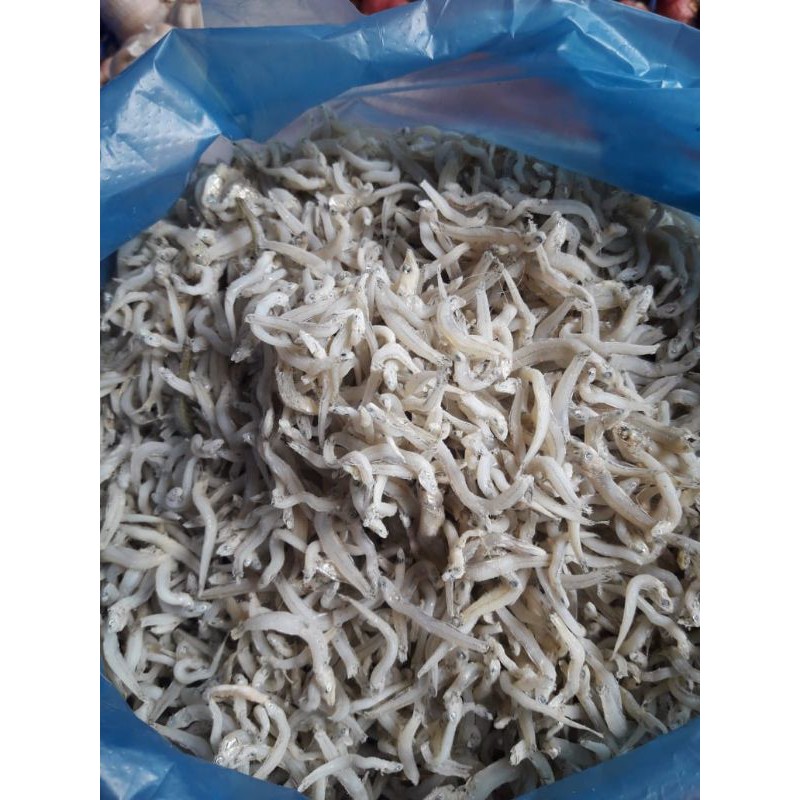 

Ikan Teri Nasi Hajoran Medan