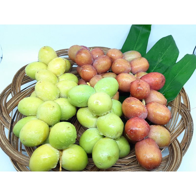 

Kurma muda promil warna campur mix fresh ruthob mengkel gratis testpack
