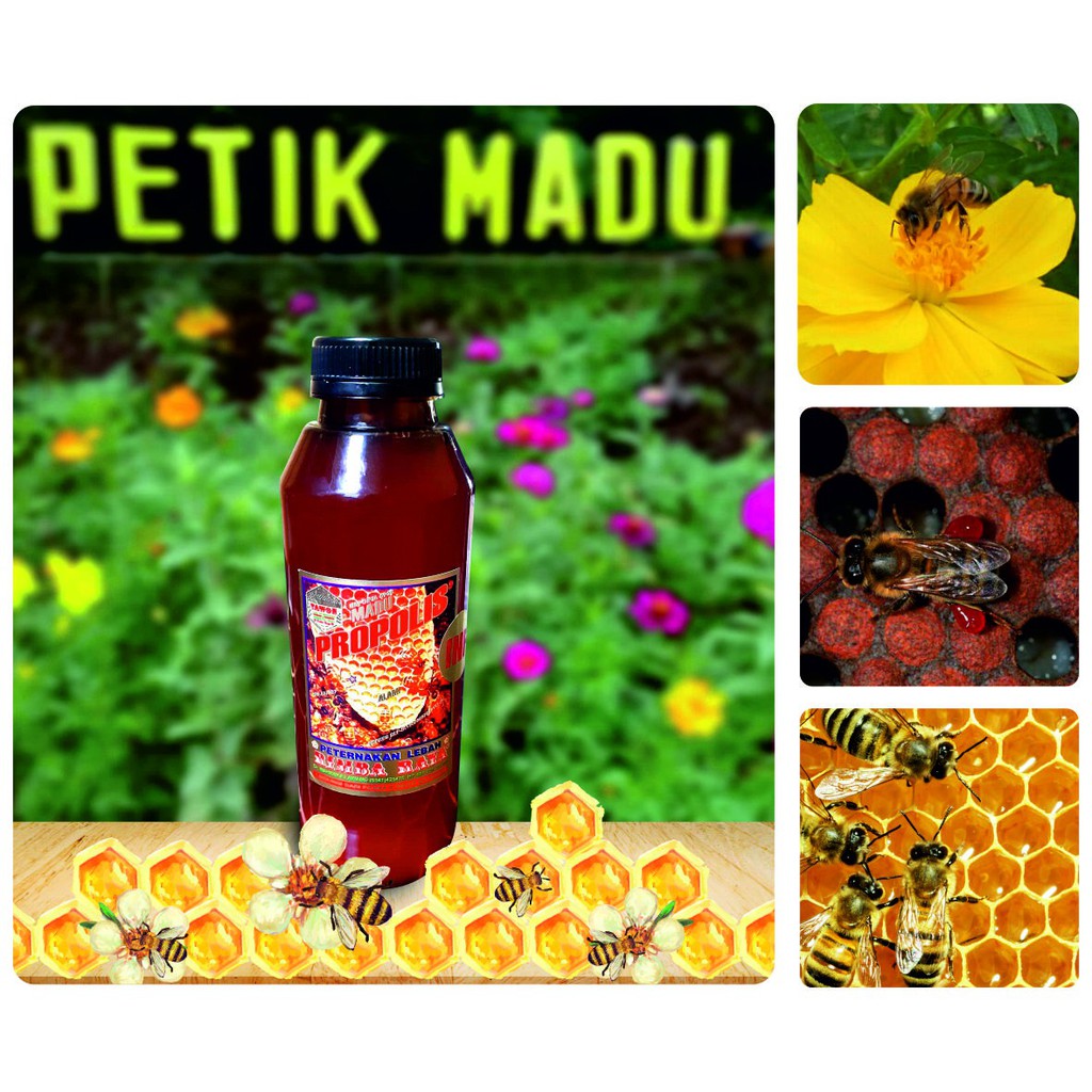 Madu Propolis Infeksi 500ml Kemasan botol plastik