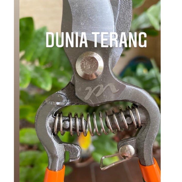 Gunting Dahan MULLER ML-302 Gg Lurus Karet Per - Gt Kebun Ranting Tanaman Bunga - Pruning Shear