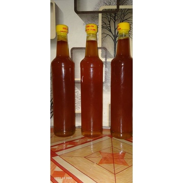 

madu lebah asli pacitan