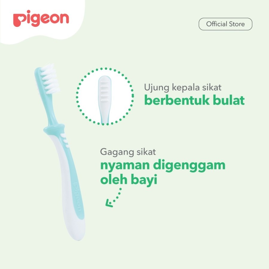 Pigeon Training Toothbrush Lesson 3 - Green | 12m+