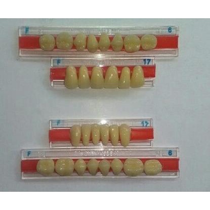 Gigi Palsu / Tiruan Full Set - Italdent