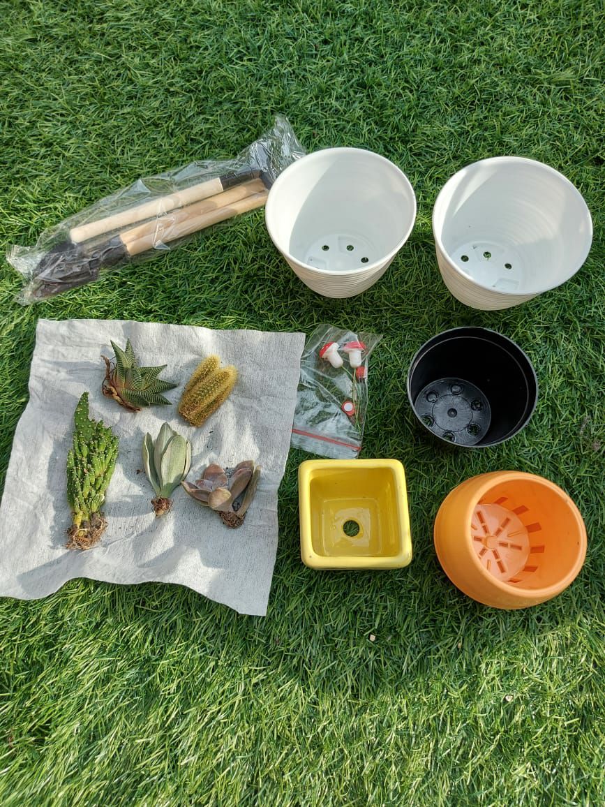 3 pot KERAMIK saja Tanaman kaktus sukulen mini kaca 3 pot KERAMIK saja Tanaman kaktus sukulen mini kaca