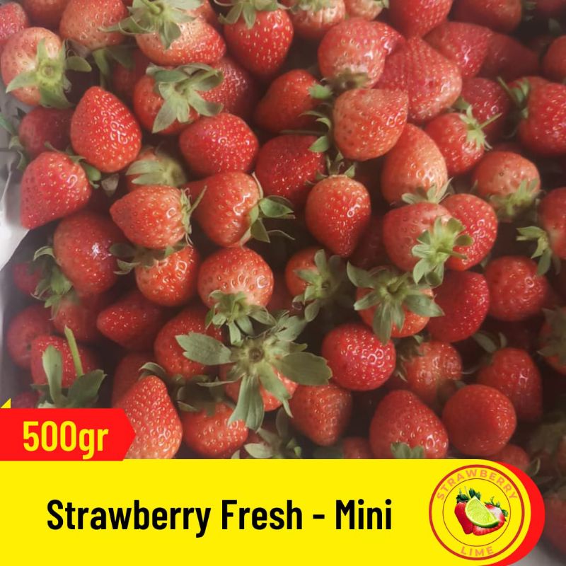 

Strawberry Fresh Mini - 500gr