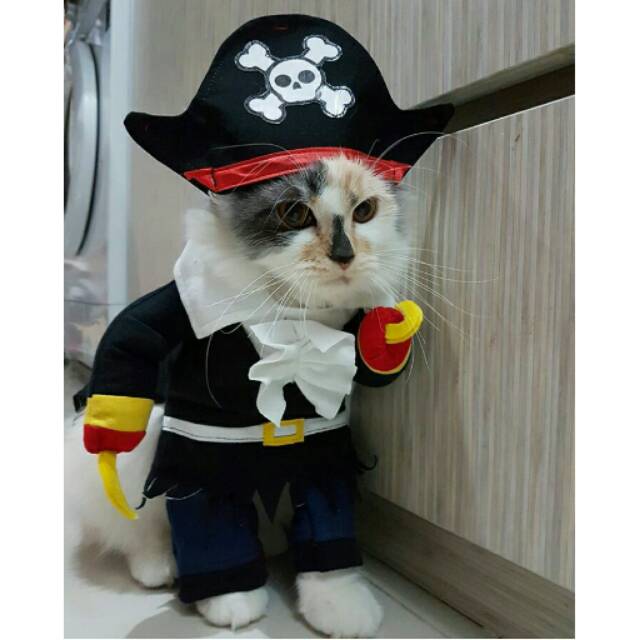 Kostum pirate bajak laut untuk kucing &amp; anjing /Jual Baju Kucing Terlengkap &amp; Berkualitas size S-XL