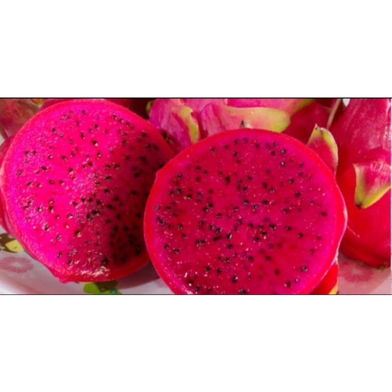 

Buah Naga