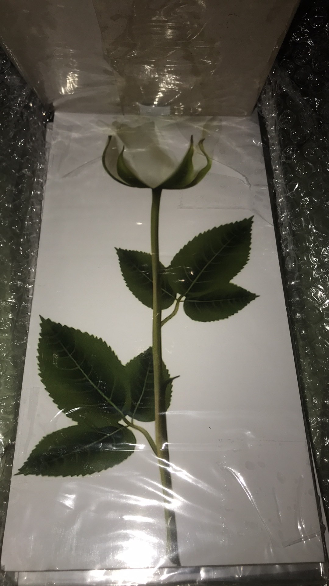 Media Hiasan Dinding Poster Kayu Leaf Dekorasi Rumah 15x30 Lf 22