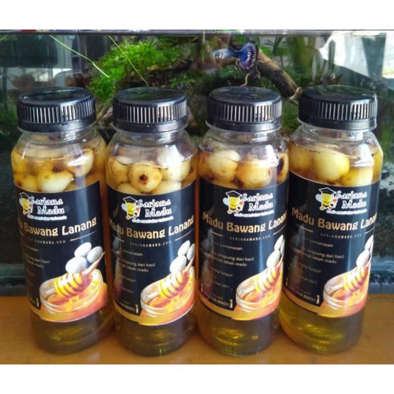 

MADU-BAWANGLANANG
