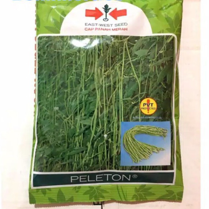Benih Kacang Panjang Peleton isi 500 gram