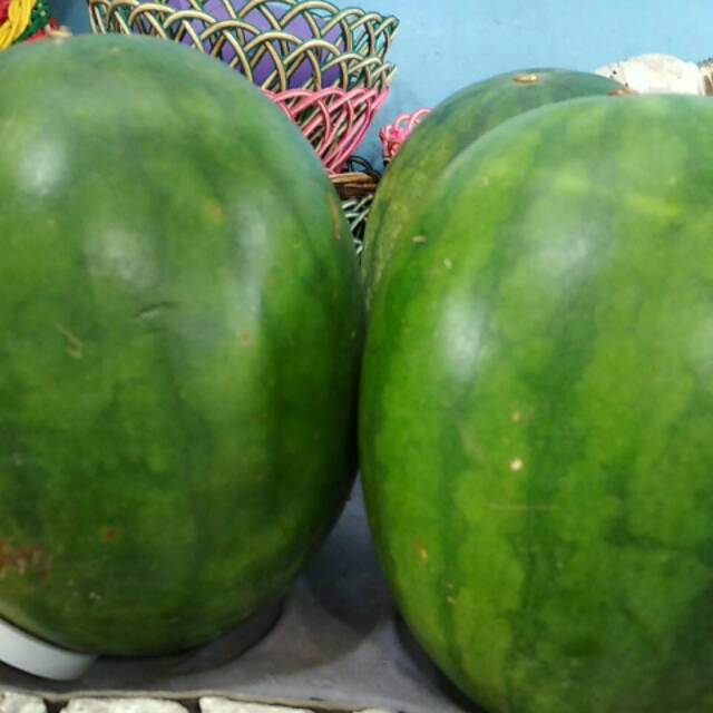 

Semangka merah non biji/kg