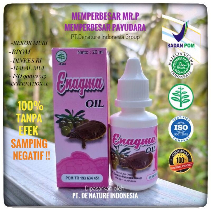 TERLARIS ENAGMA OIL DENATURE/PEMBESAR PAYUDARA/MENGENCANGKAN PAYUDARA/PEMBESAR MR P/AMPUH/HERBAL