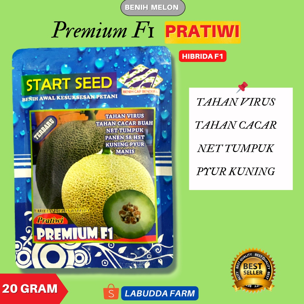 Bibit Melon Pratiwi - Benih Melon - Melon Pratiwi Premium - Melon Pratiwi - Bibit Melon Hibrida - Be
