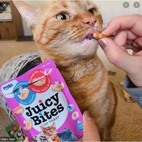 INABA Ciao Juicy Bites / Snack Cemilan Kucing / Cat Treats isi 3 packs