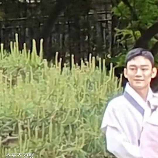 Tas Spunbond Besar Jumbo 35x55 Model Kresek Tas Kain Belanja Sponbon Bahan Kain Furing Non Woven