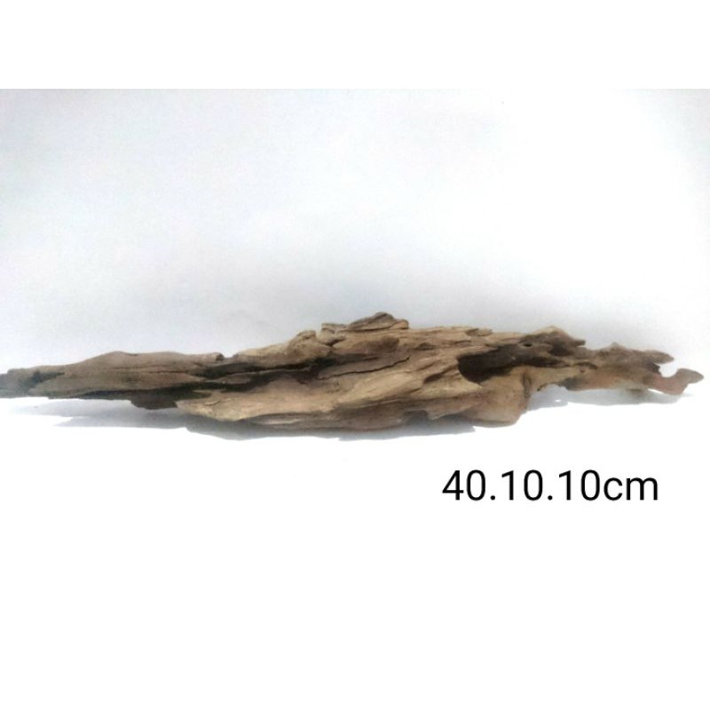 Kayu Rentek Santigi Akar Santigi Laut Driftwood asli