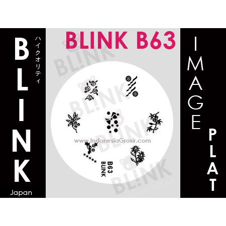 BLINK Image Plate B54 - B63