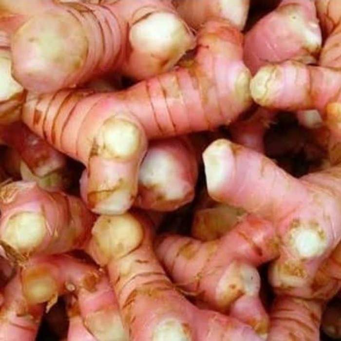 

LENGKUAS (pack ± 100gr)