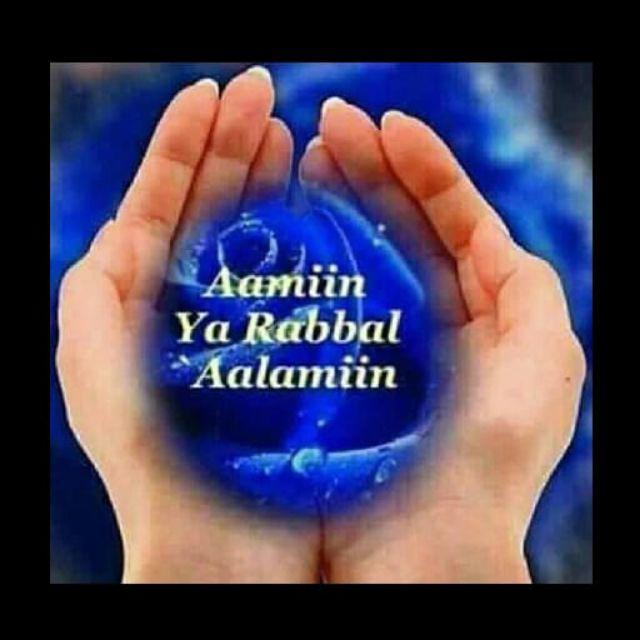 Narayababy Apron Menyusui / Celemek Menyusui / Nursing Cover/1 Lapis