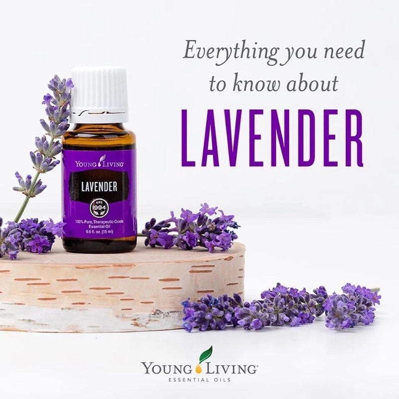 Oil Lavender Young Living
