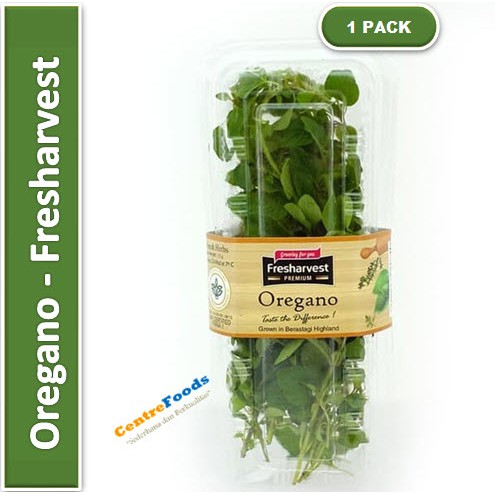 

Daun Oregano | Fresharvest [ Harga Per PACK ]