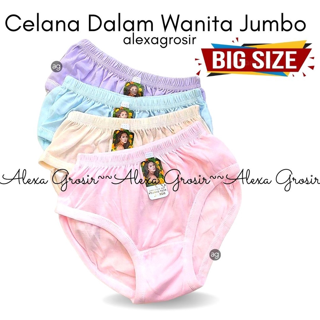 [ PREMIUM ] CELANA DALAM WANITA POLOS / CELANA DALAM WANITA KATUN LEMBUT MERK GAYATRI VIENNA MILLYA SIZE L XL 3L 4L 5L