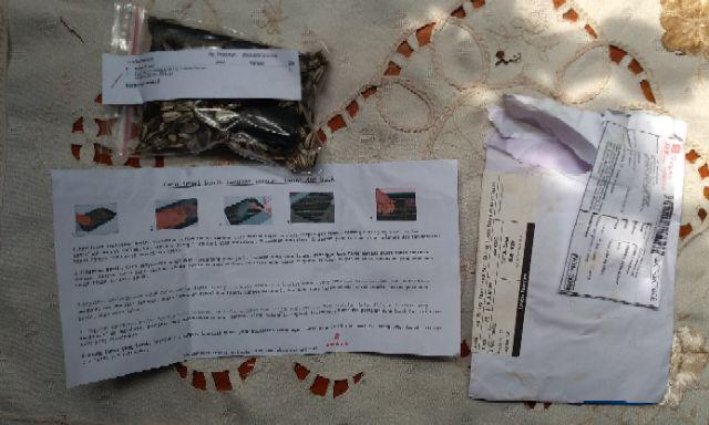 Paket Hemat Benih Bibit Biji 6 Jenis Bunga Matahari Cantik 150 Butir