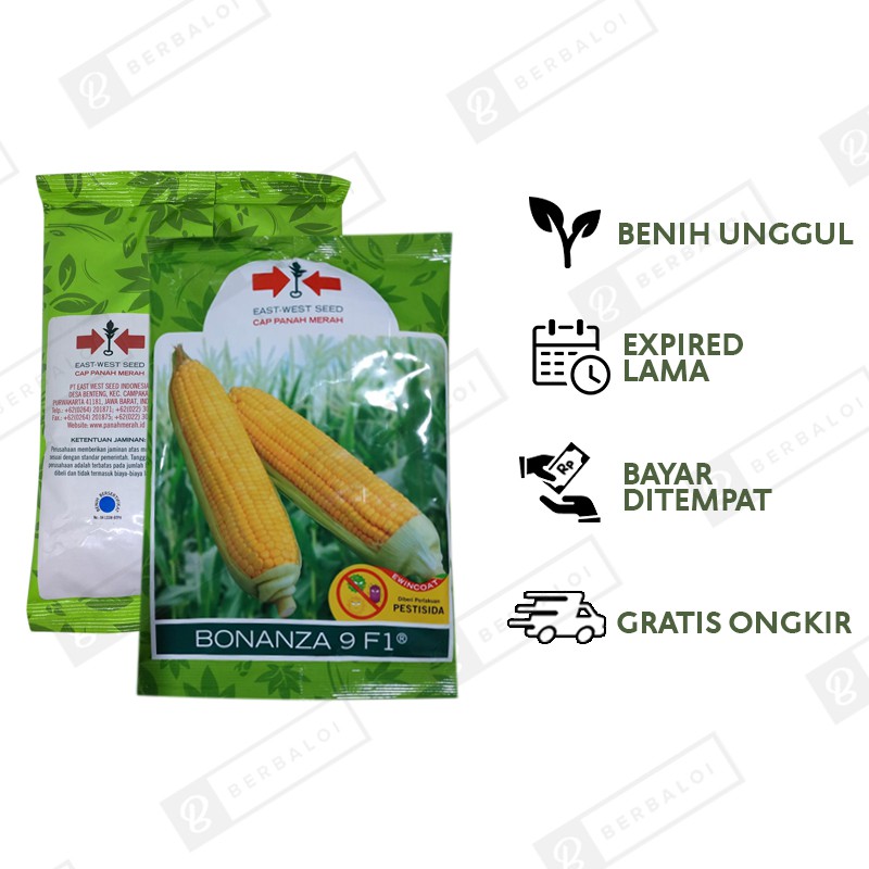 COD Bonanza 9 F1 Benih Jagung Manis 1800 Butir