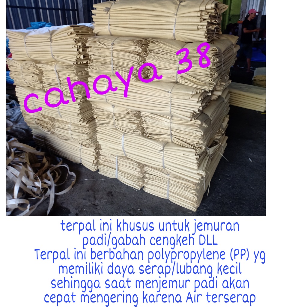 Terpal Hamparan 3x4 Meter Khusus Jemur Padi/Gabah