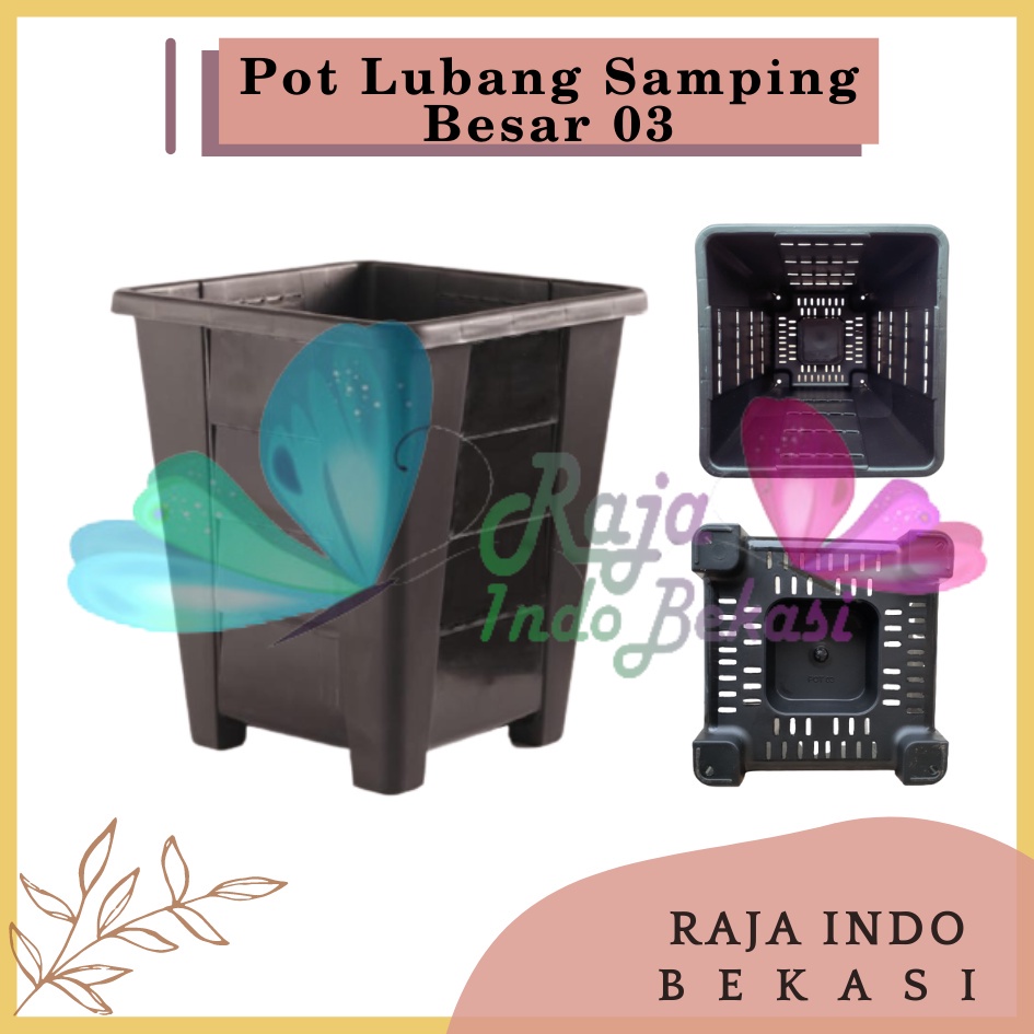 Sekarganes Pot Kotak Tinggi Lubang Samping Besar 03 Putih Hitam Orange Coklat Pot Aglonema Kaktus Besar Tinggi Murah 15 17 25 30 Pot Kotak Persegi Panjang Besar Tinggi - Pot Sinovac 01 02 03