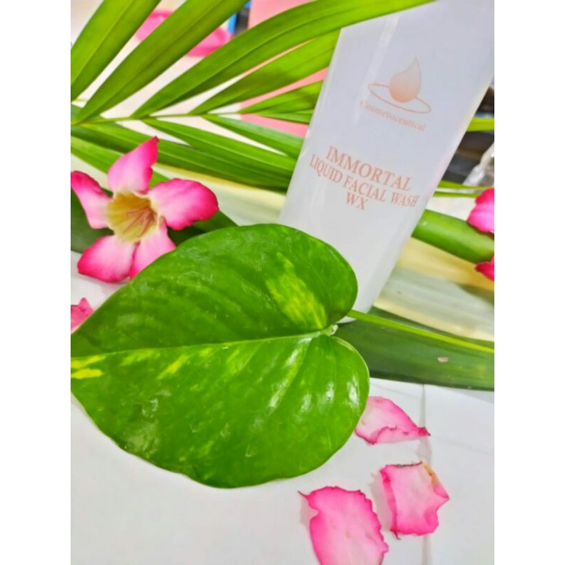 FACIAL WASH WX 100 ML