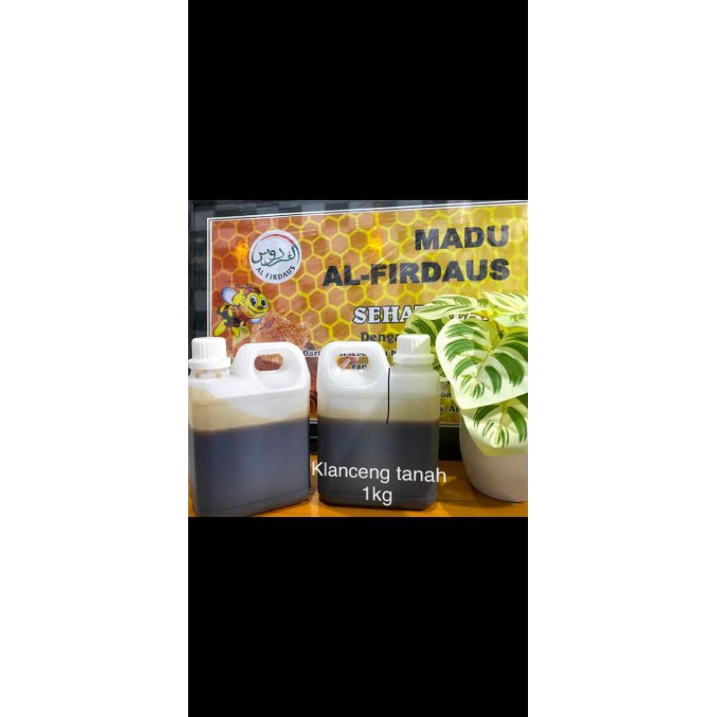 

madu klanceng tanah