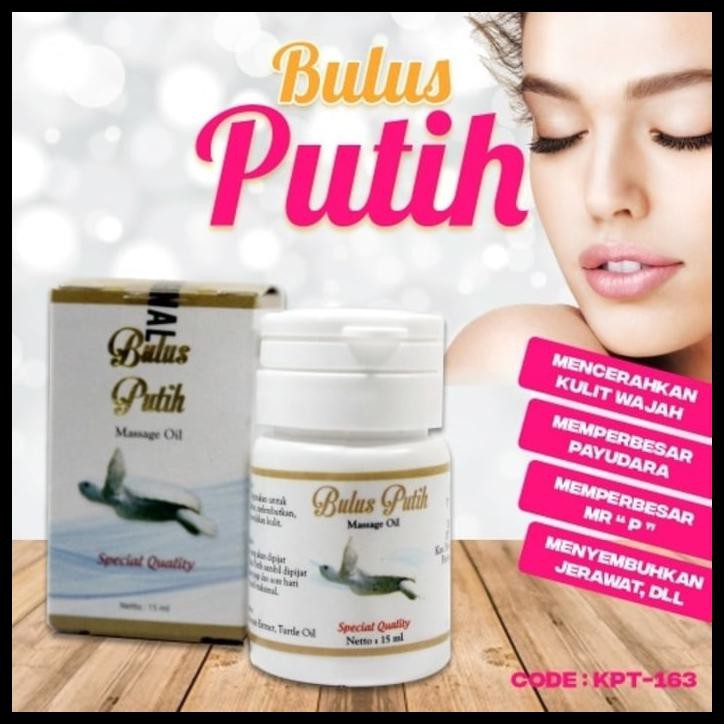 Beautiful Minyak Bulus Putih Bpom Original Mengencangkan Membesarkan Shopee Indonesia