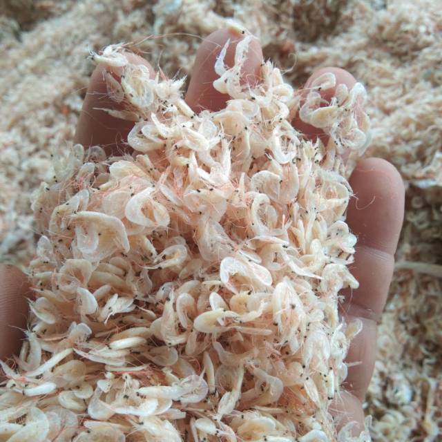 

Udang Kecepe tanjung leidong 1/4kg