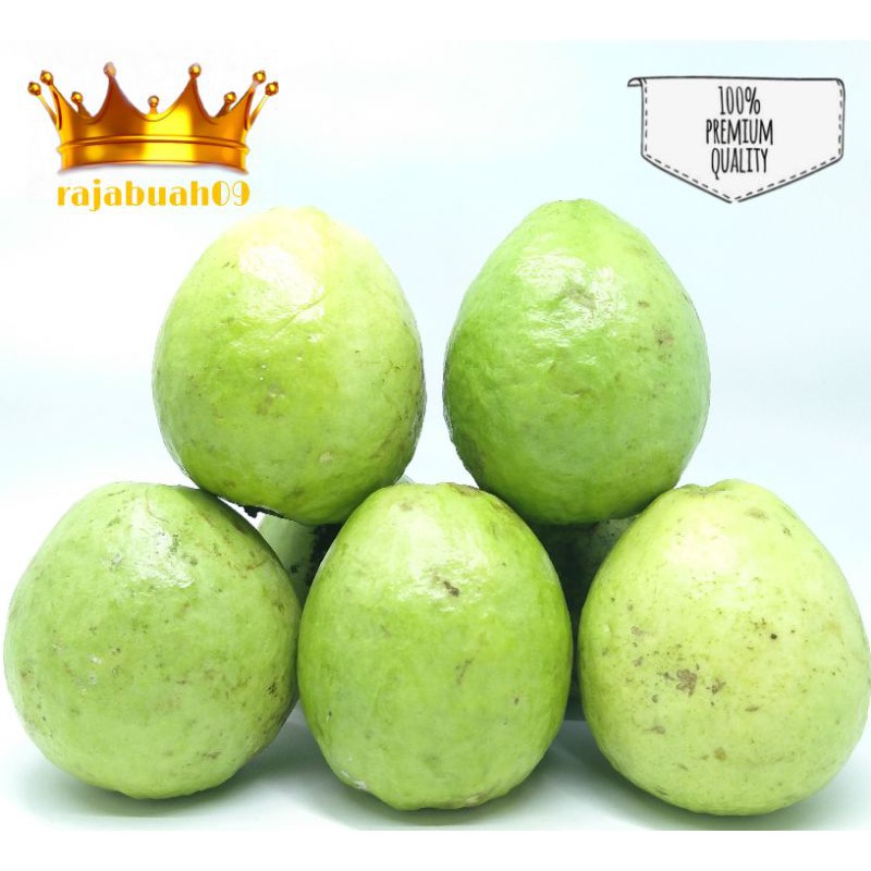 

Jambu Merah Fresh 1 Kg / Jambu Biji
