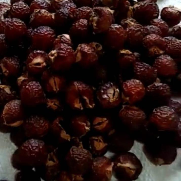 

Model Baru HSSO8 biji lerak daging tanpa biji 1KG kualitas super 096 Produk Keren