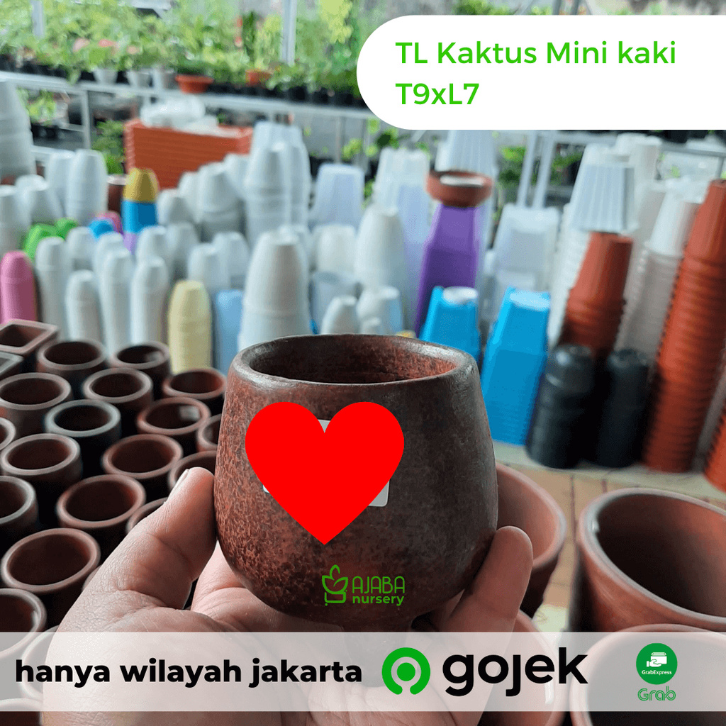 Pot Terakota - Gerabah Asli Lombok - TL Kaktus Mini Kaki T9 x L7