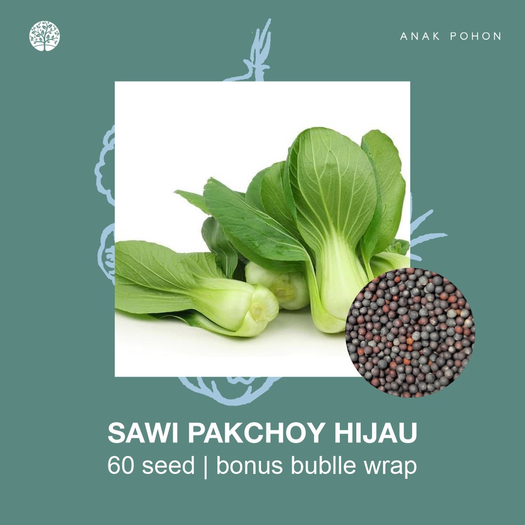 SERBA SERIBU - Benih Bibit Biji - Paket Benih Sayuran DAUN Termurah Kangkung Sawi Selada Seledri Kol-Sawi Pak Choy Hijau