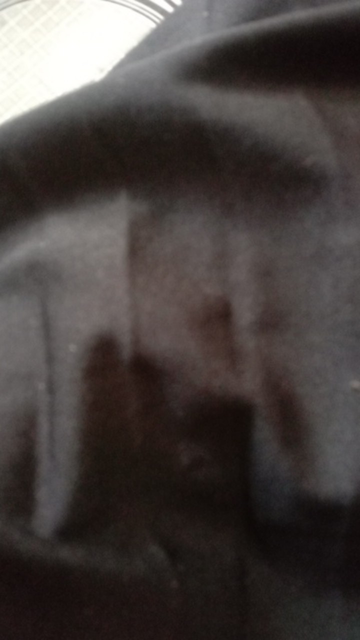 10 Biji -benih Strawberry Holland,benih Buah Strawberry Import