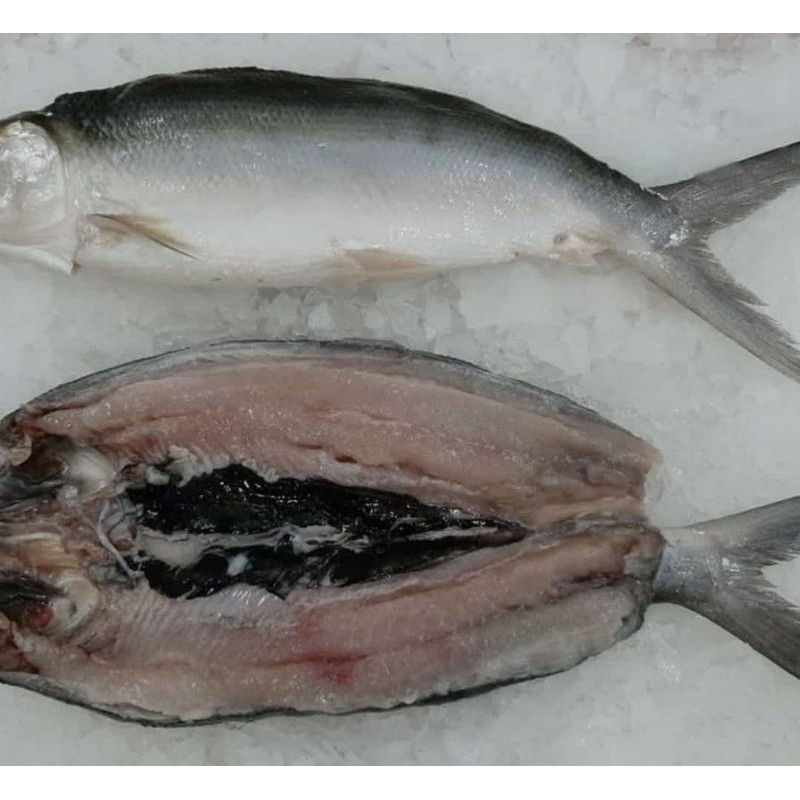 

Ikan Bandeng Cabut Duri +- @300 gr