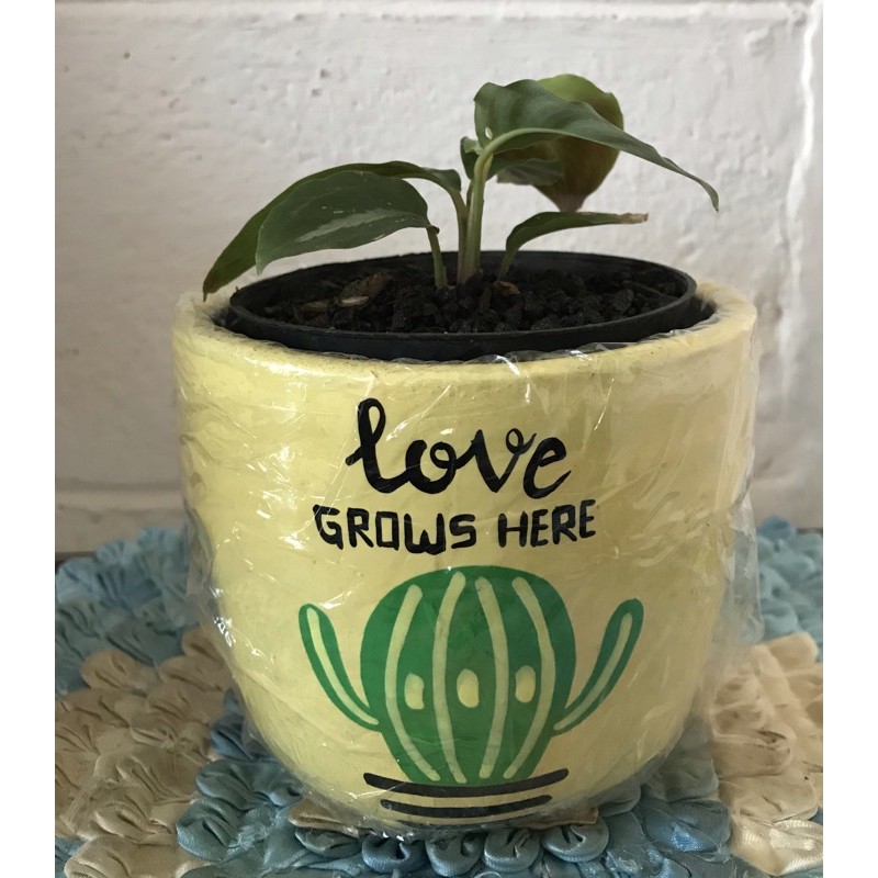 

Pot Lukis Tanah Liat Gambar Love Grows