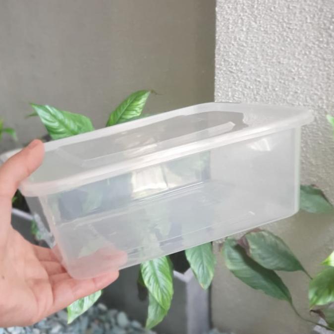 Thinwall Square 2000ml / Thinwall Kotak 2000ml. Isi 25pcs