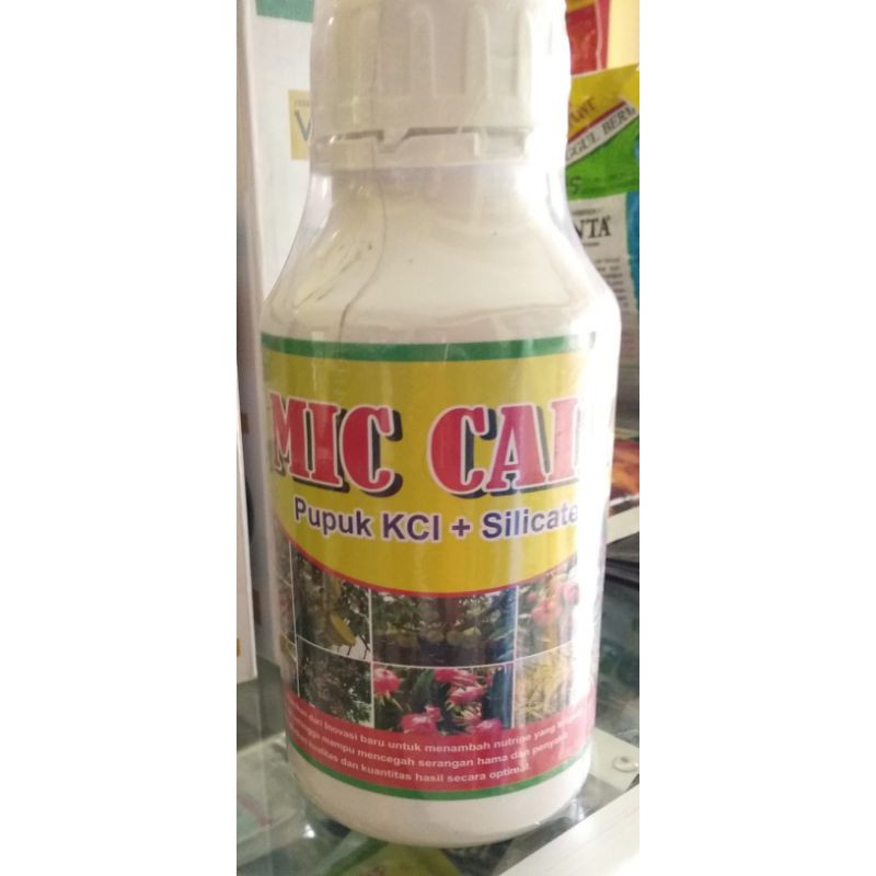 Pupuk KCL + Silica cair, untuk segala tanaman, membantu pengisian dan meperkokoh tanaman