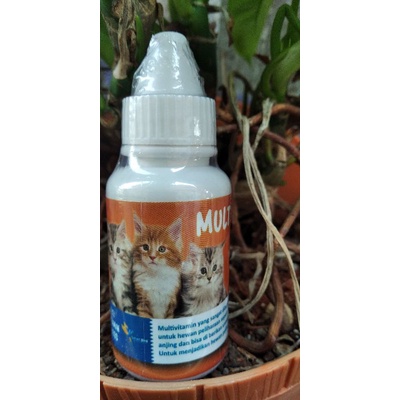 multivitamin | vitamin kucing anjing | vitamin nafsu makan