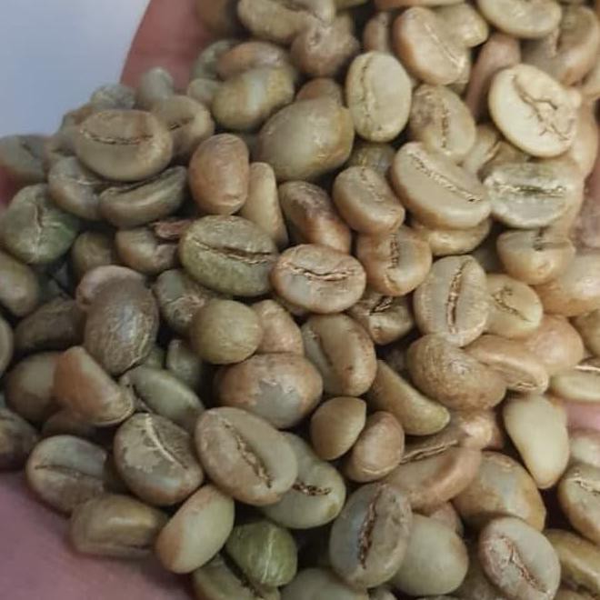 

Promo Akhir Tahun Green Bean Kopi Robusta Temanggung Natural Proses 1Kg Kode 953
