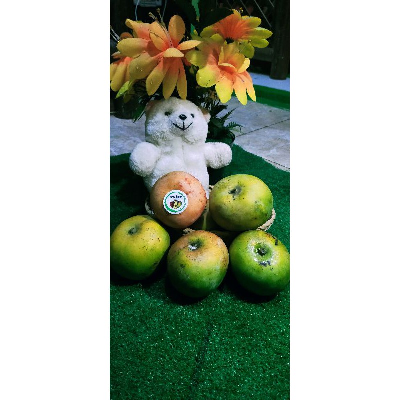 

Mangga Apel /1 kg