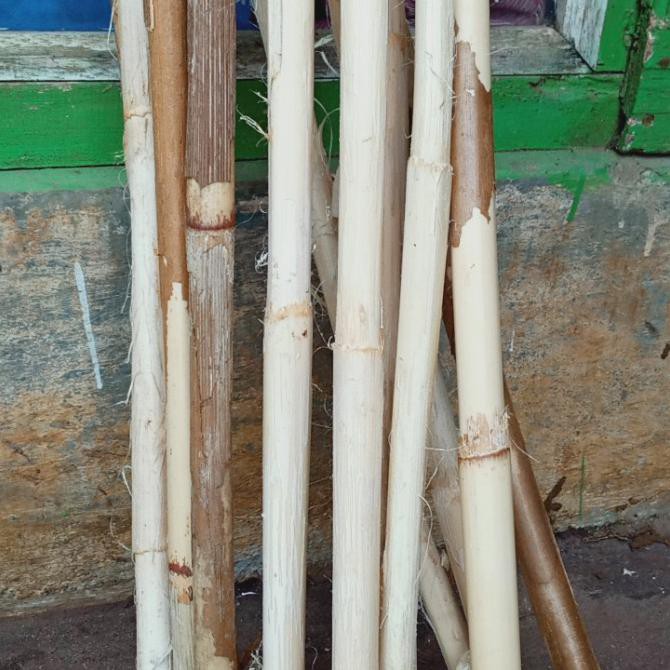 ✅Harga Rotan batangan/pentungan rotan/tongkat rotan